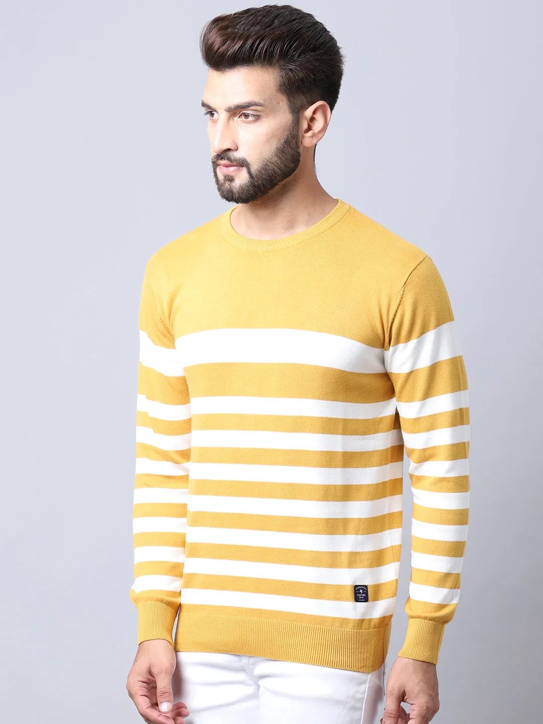 Men Mustard Pullover Sweater